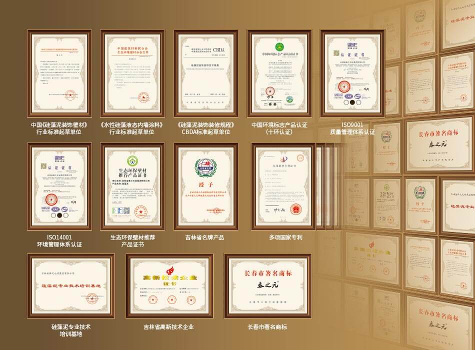 100+核心專利獎項(xiàng)