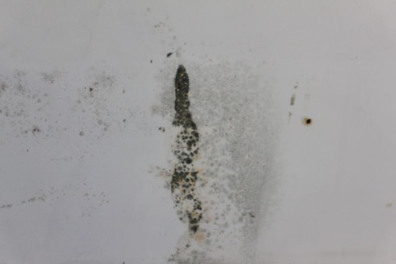 【我要?jiǎng)邮至恕康谝黄?，墻面霉斑要怎么處理？對抗霉斑終極大招，結(jié)果出乎意料......